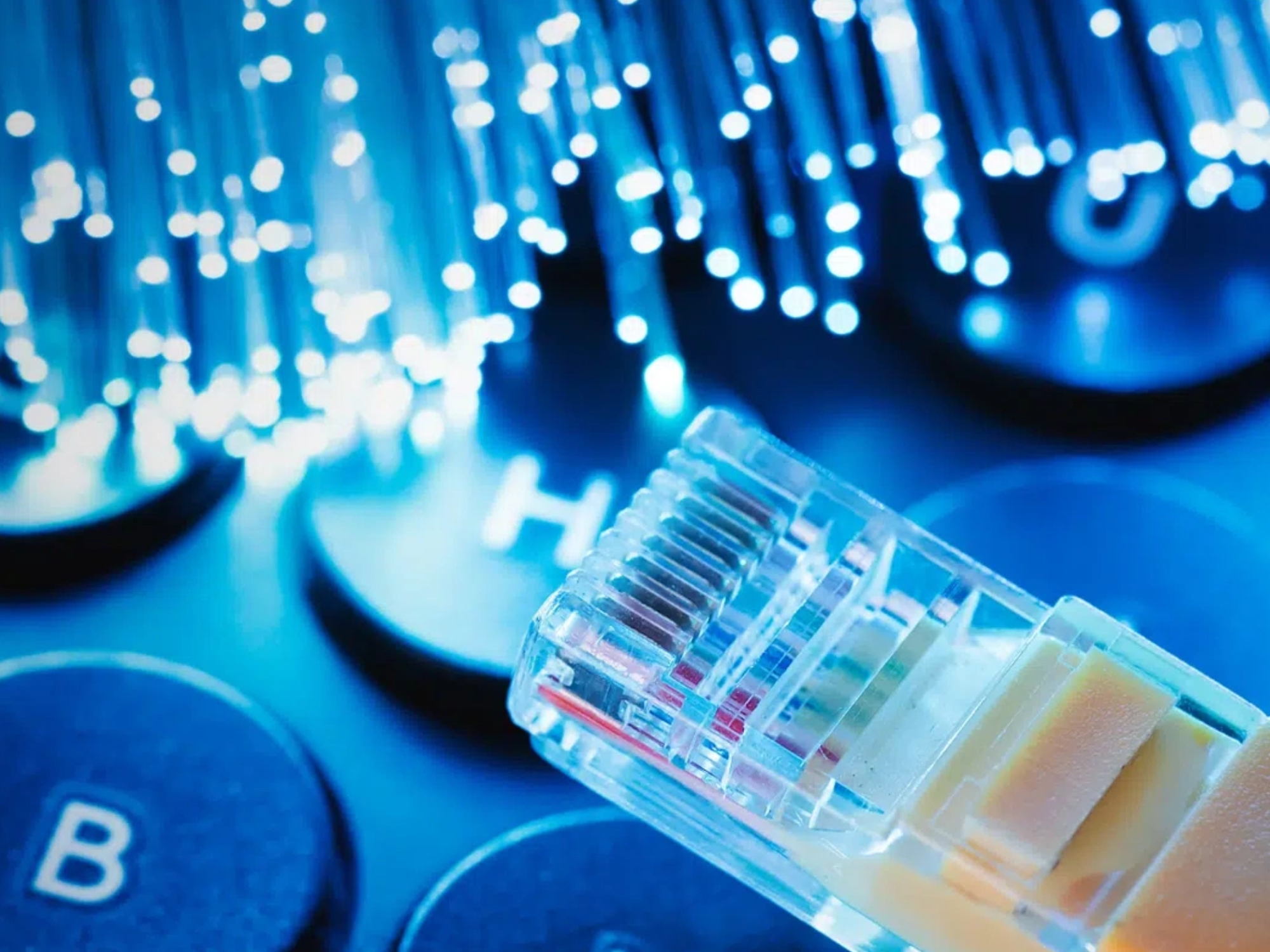 High-speed fibre-optic cables and ethernet connector illustrating business connectivity solutions.